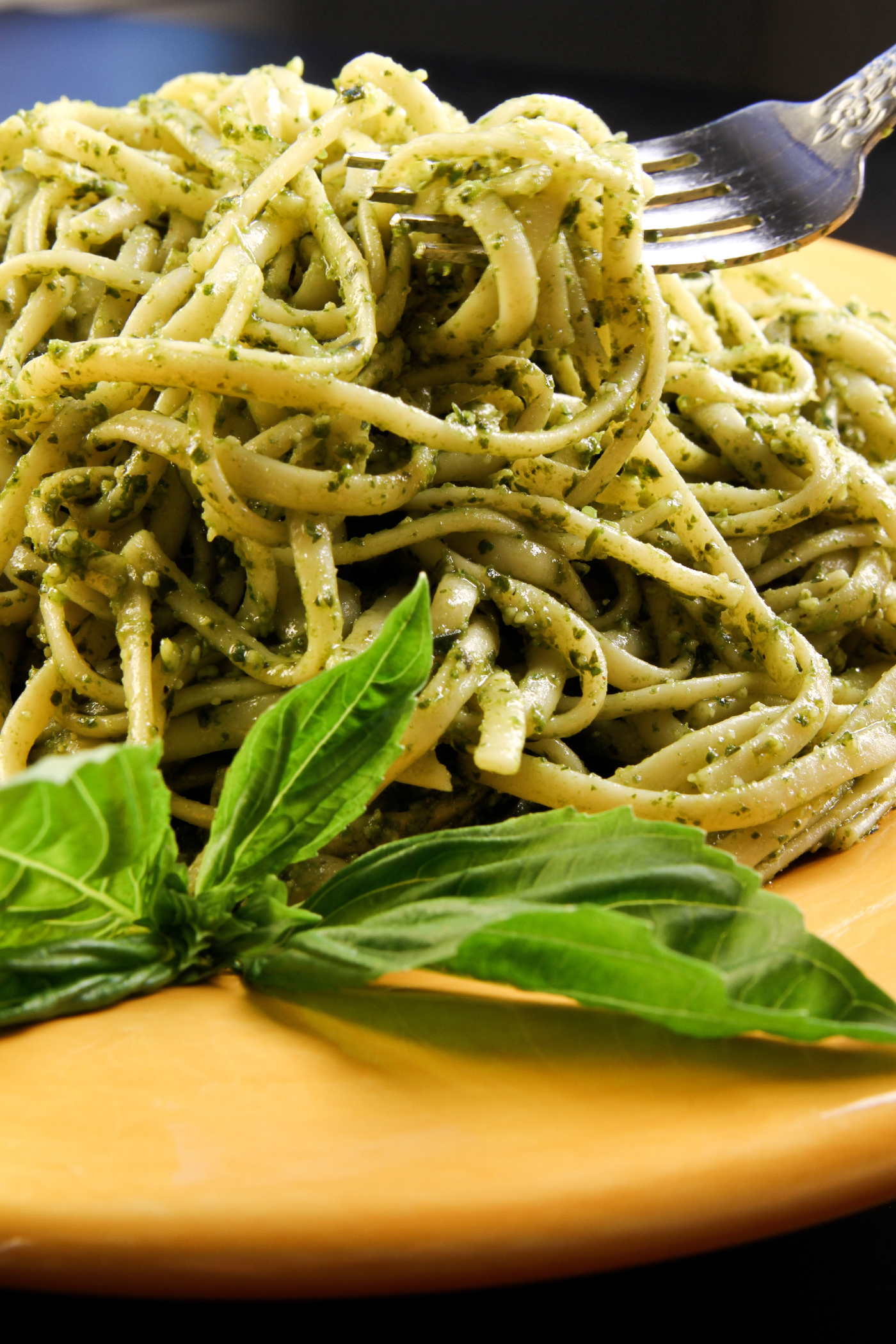 joeregalbutto-linguinipesto - 23