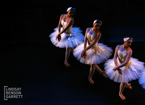 Ballet Nova Swan Lake 2013. Photography by Lindsay Benson Garrett.