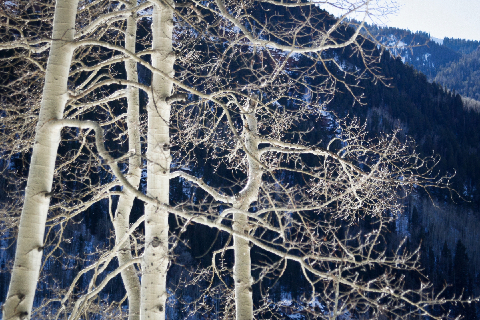 Telluride, Co - copyright Lindsay Benson Garrett