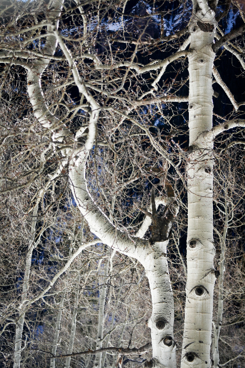 Telluride, Co - copyright Lindsay Benson Garrett