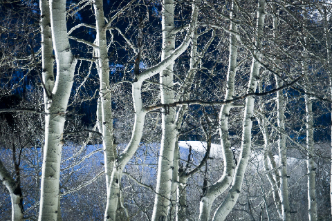 Telluride, Co - copyright Lindsay Benson Garrett