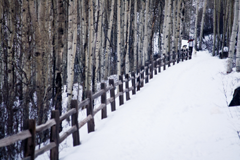 Telluride, Co - copyright Lindsay Benson Garrett