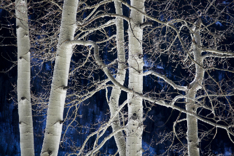 Telluride, Co - copyright Lindsay Benson Garrett