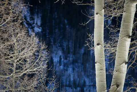 Telluride, Co - copyright Lindsay Benson Garrett