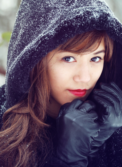 Snow Day  - copyright Lindsay Benson Garrett