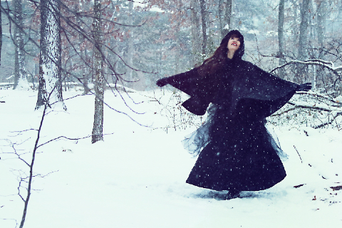 Snow Day  - copyright Lindsay Benson Garrett