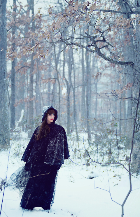Snow Day  - copyright Lindsay Benson Garrett
