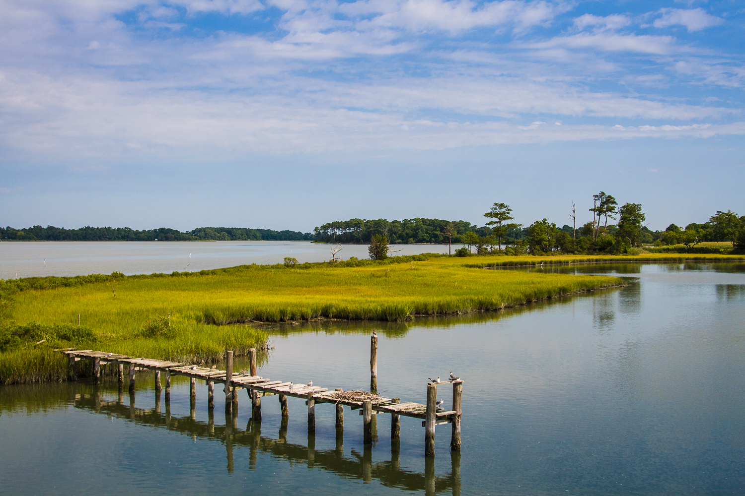 Cape-Charles-lindsay-benson-garrett-3