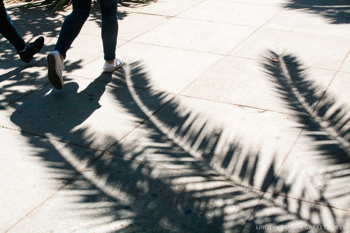 San Francisco photography by Lindsay Benson Garrett