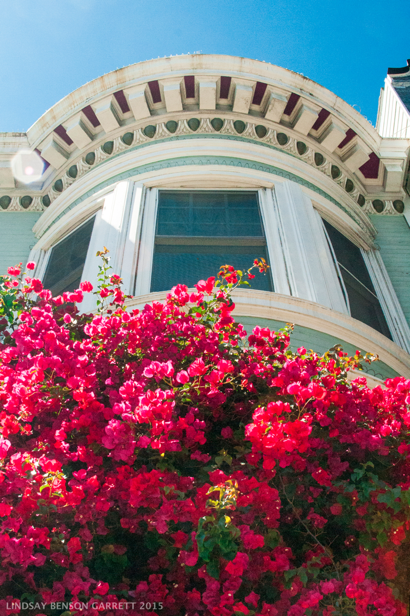 San Francisco photography by Lindsay Benson Garrett