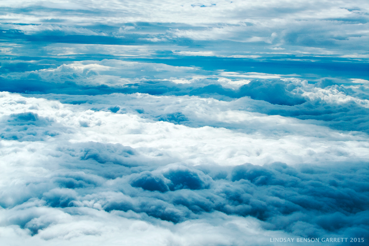 San Francisco photography by Lindsay Benson Garrett
